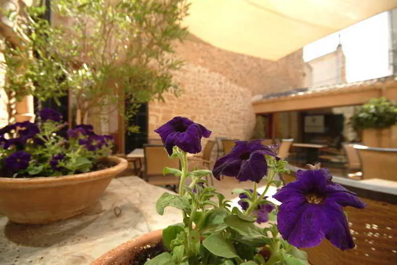 Hotel Can Simo Alcudia   Alcudia (Mallorca)